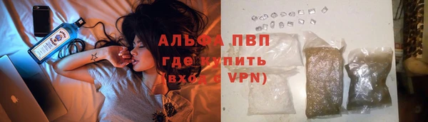 дживик Аркадак