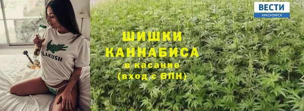 дживик Аркадак